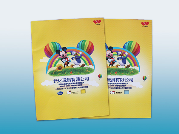 长亿玩具画册印刷丨放心画册印刷丨画册设计丨长沙印刷厂丨长沙印刷公司