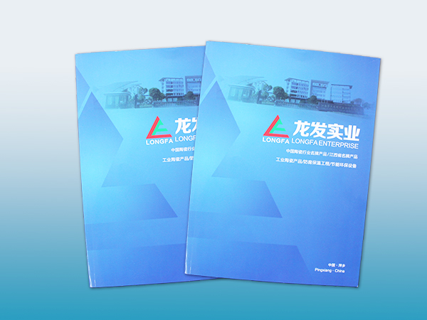 龙发实业画册印刷丨放心画册印刷丨画册设计丨长沙印刷厂丨长沙印刷公司