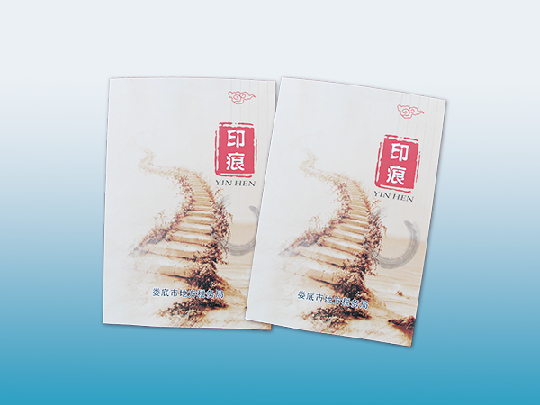 娄底市地方税务局印痕画册印刷丨家居画册印刷丨画册设计丨长沙印刷厂丨长沙印刷公司