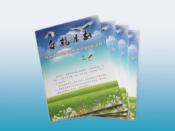 株洲市白鹤小学同学成长记录画册印刷丨学校画册印刷丨画册设计丨长沙印刷厂丨长沙印刷公司