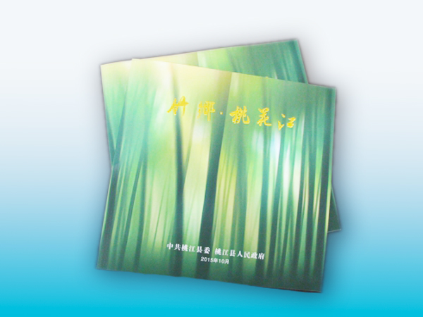 竹乡桃花江放心画册印刷丨政府画册印刷丨放心画册设计丨长沙印刷厂丨长沙印刷公司